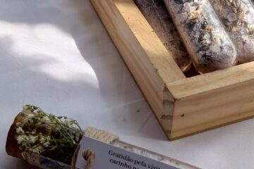 Sais aromáticos – SPA para os pés