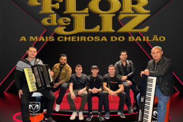 Banda flor de liz