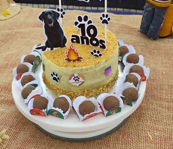 Bolo para cachorro com docinhos pet tema arraiá