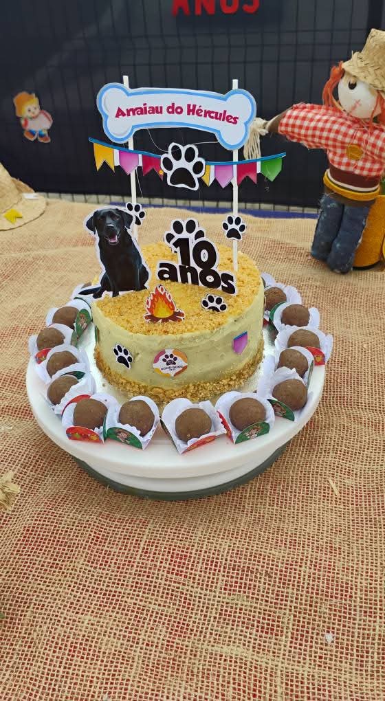 Bolo para cachorro com docinhos pet tema arraiá