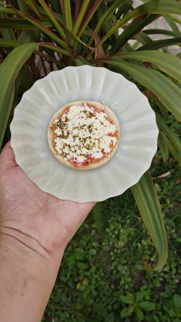 Pizza para pet da Goodgoodpets