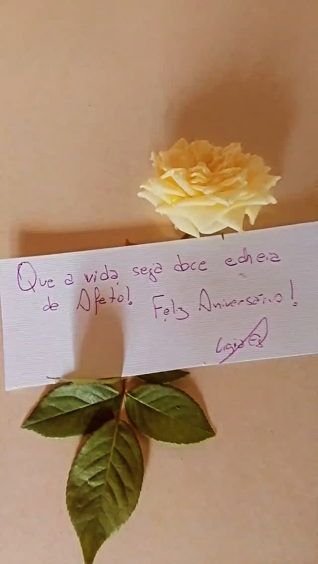 Bolo massa branca aromatizado laranja. Recheio Doce de leite Recheio Briganache 40%...